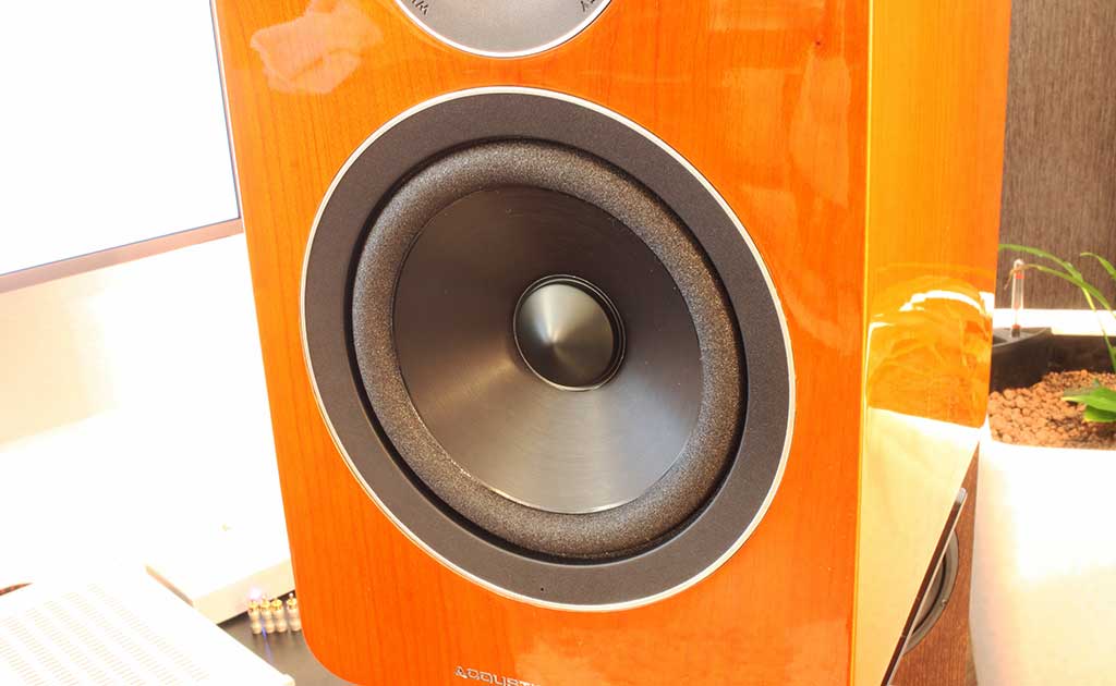 2017 11 28 TST Acoustic Energy AE1 Active 4