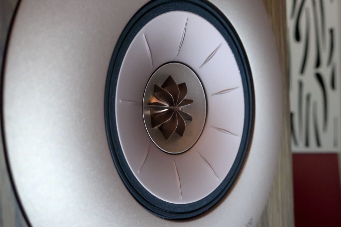 2023 02 28 TST KEF R11 Meta 8