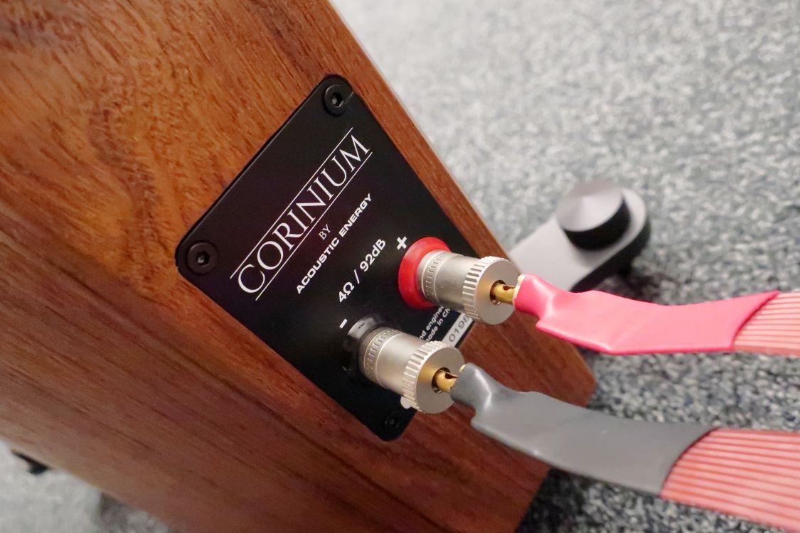 2024 04 30 TST Acoustic Energy Corinium 19