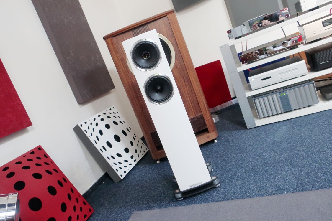 2024 06 30 TST Fyne Audio F501SP 2