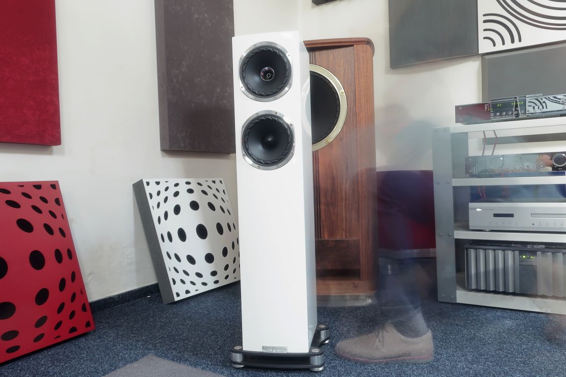 2024 06 30 TST Fyne Audio F501SP 3