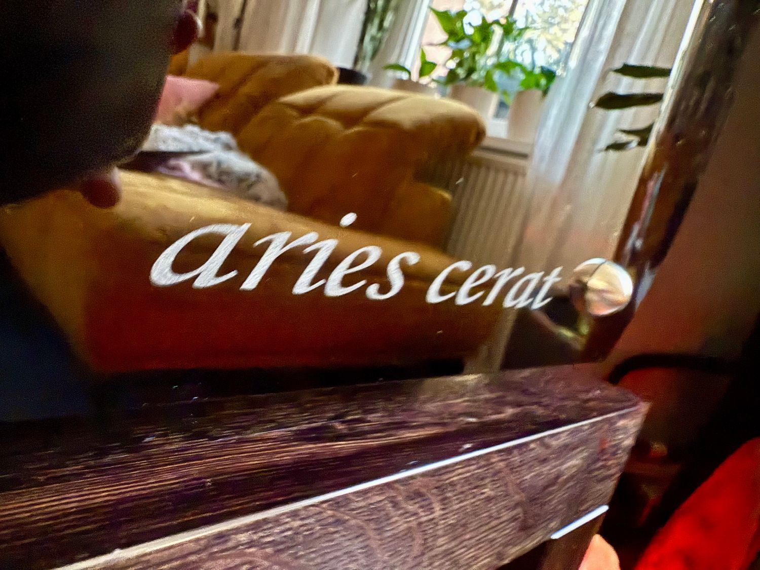 2025 03 31 TST Aries Cerat Helene 15