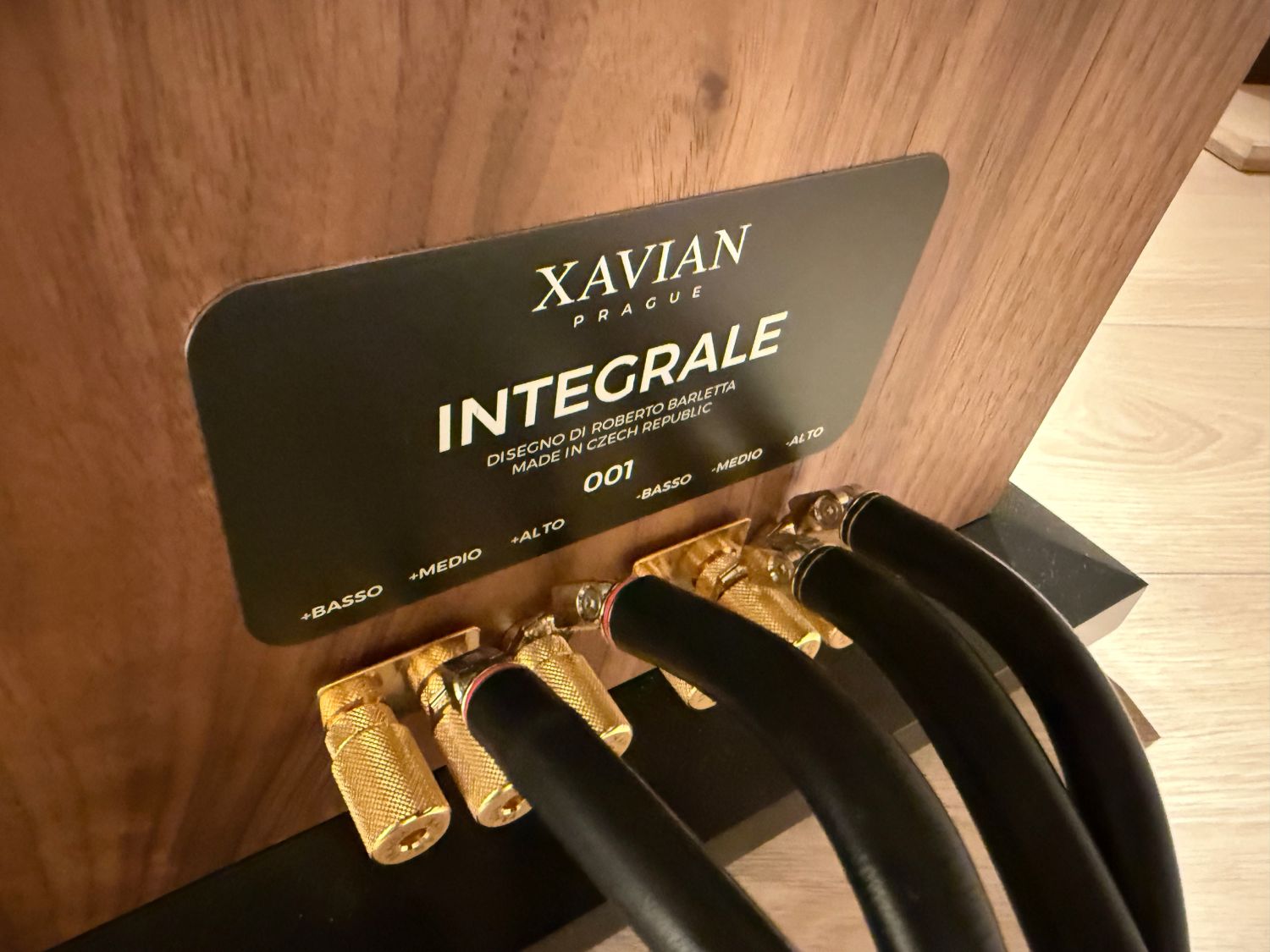 2025 04 15 TST Xavian Integrale 18