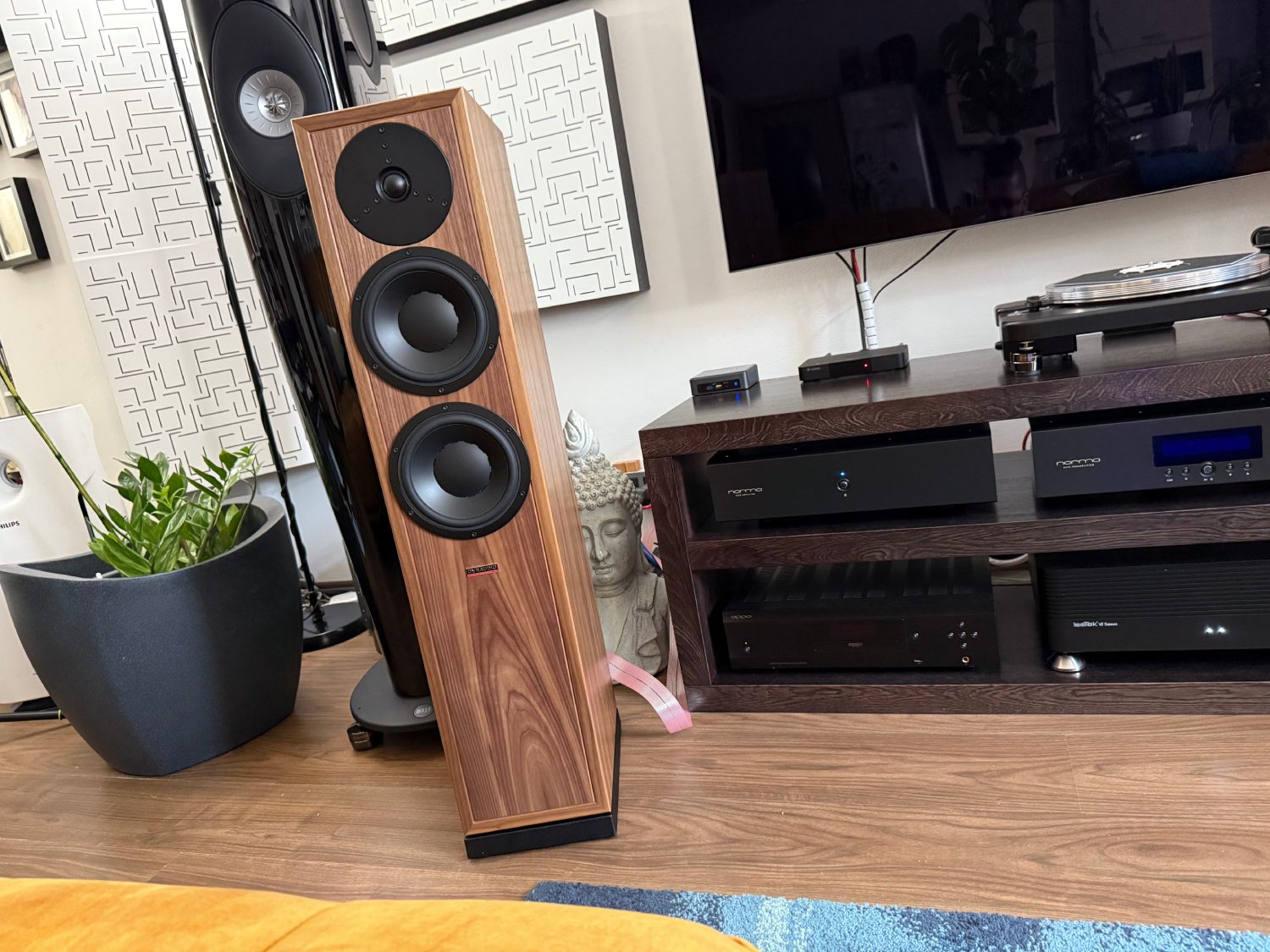 2025 04 30 TST Dynaudio Contour Legacy 21