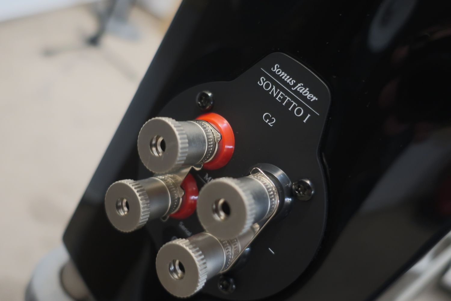 2025 04 30 TST Sonus faber Sonetto G2 11