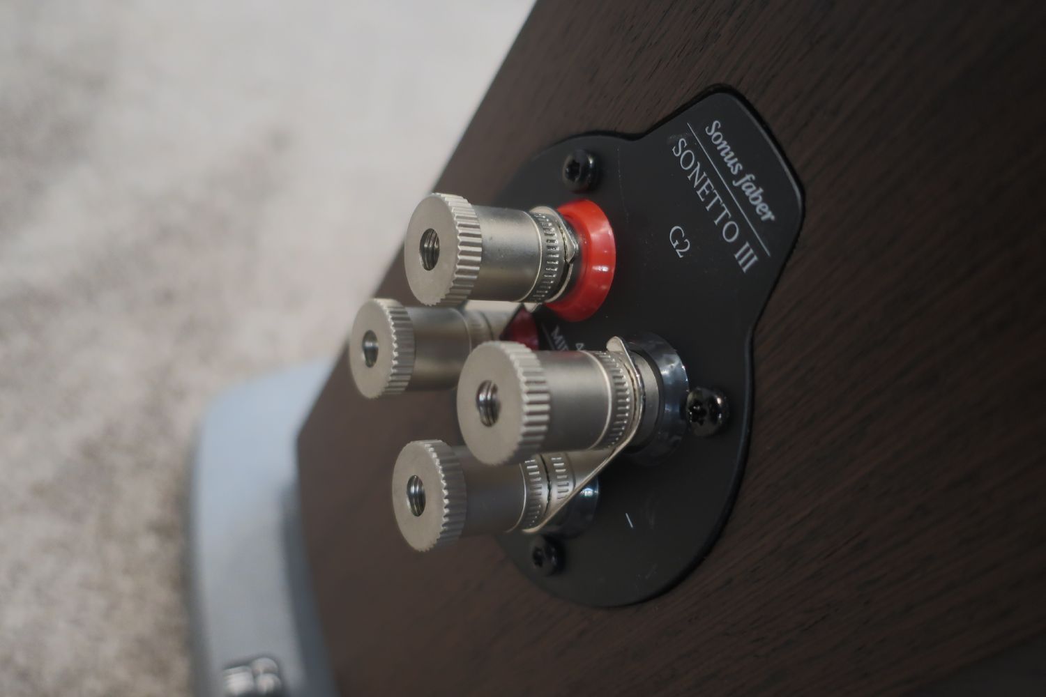 2025 04 30 TST Sonus faber Sonetto G2 29