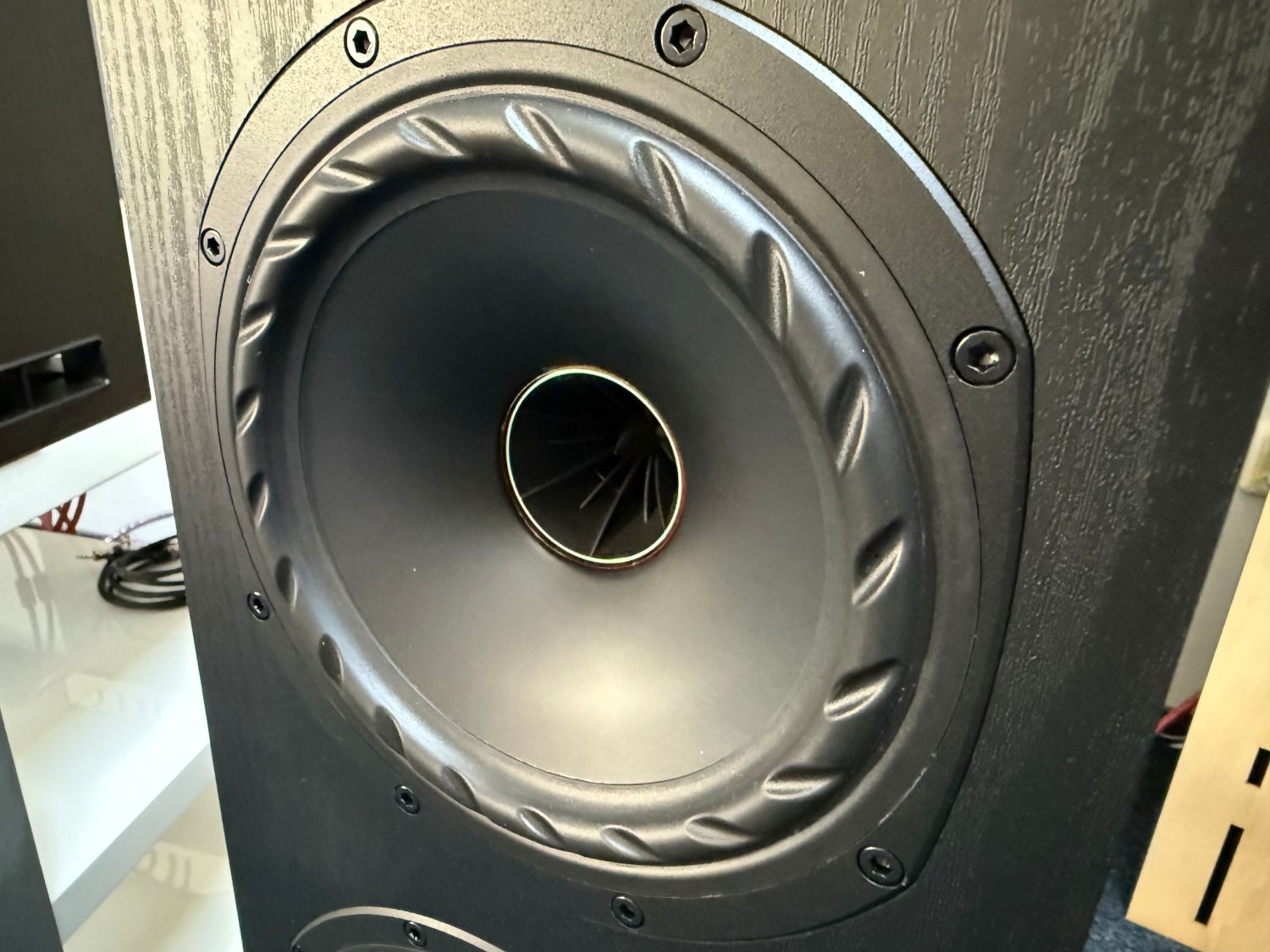 2025 06 30 TST Fyne Audio F501E 5
