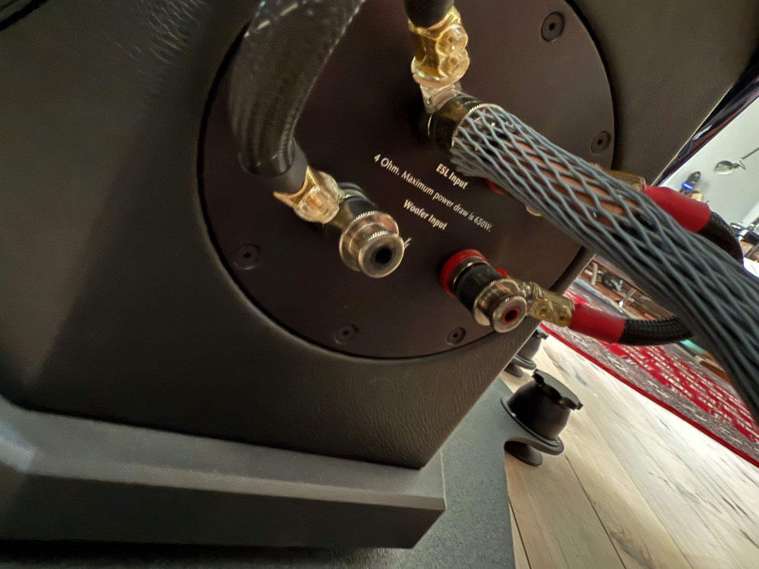 2025 06 30 TST MartinLogan Neolith 10