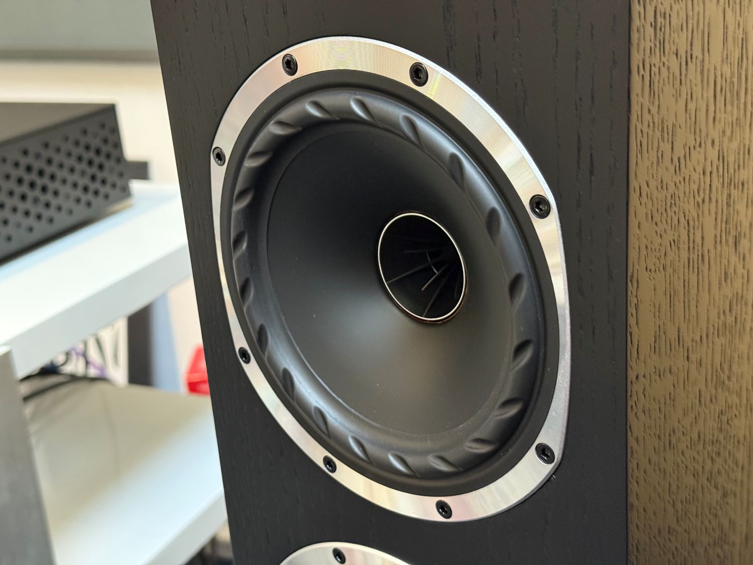 2025 09 30 TST Fyne Audio F501S 7