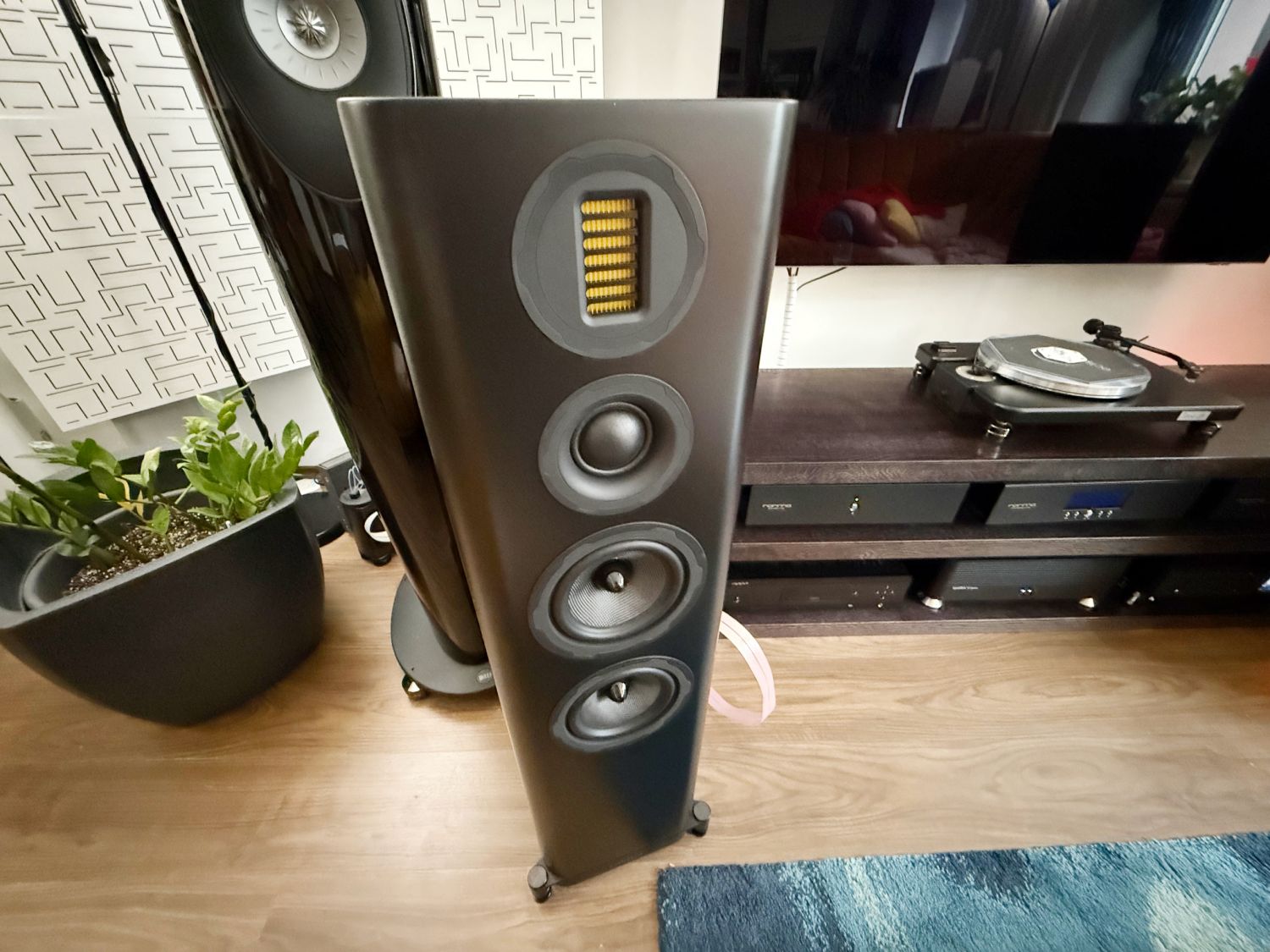 2025 09 30 TST Wharfedale EVO 5 4 15