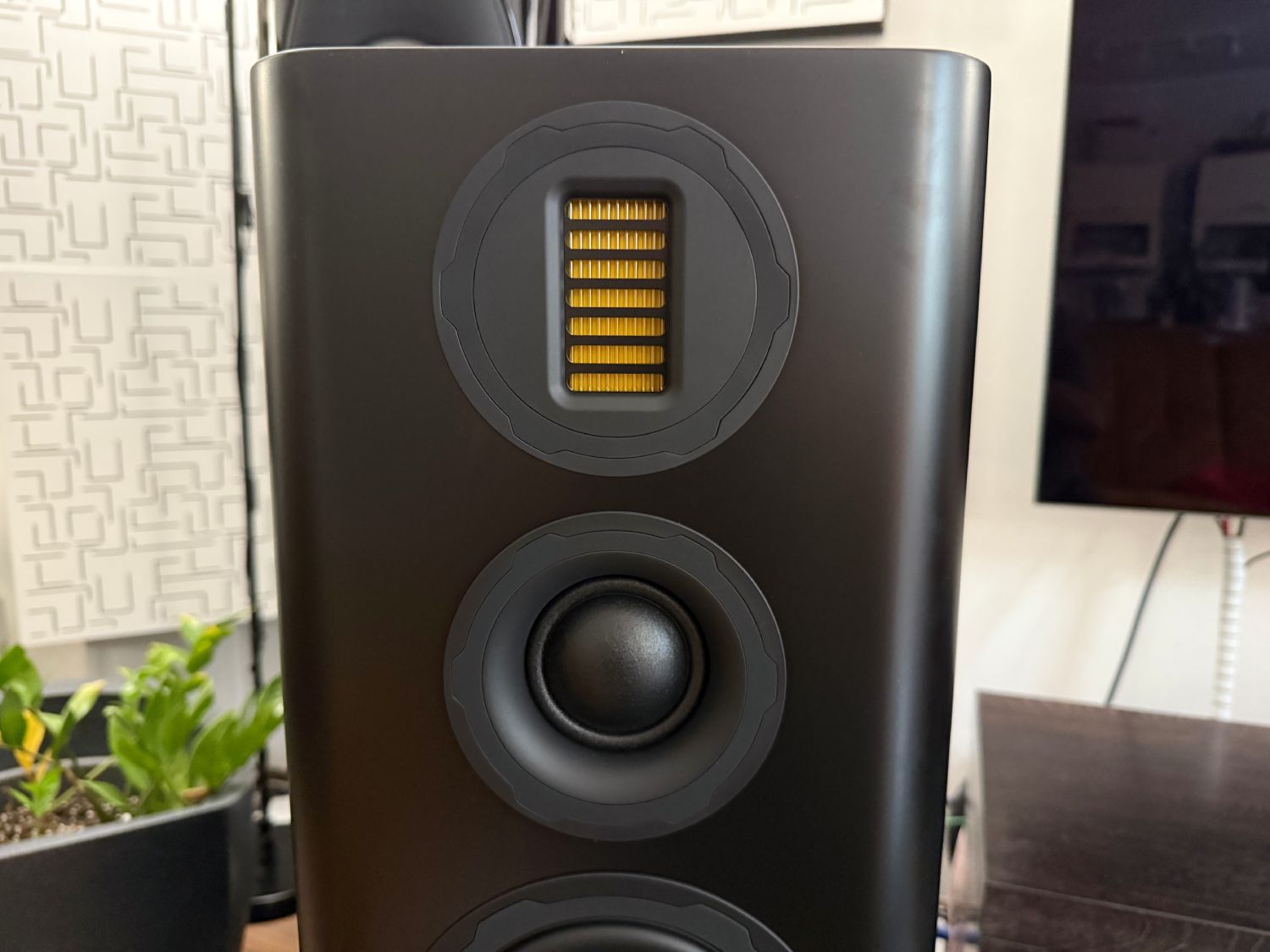 2025 09 30 TST Wharfedale EVO 5 4 16