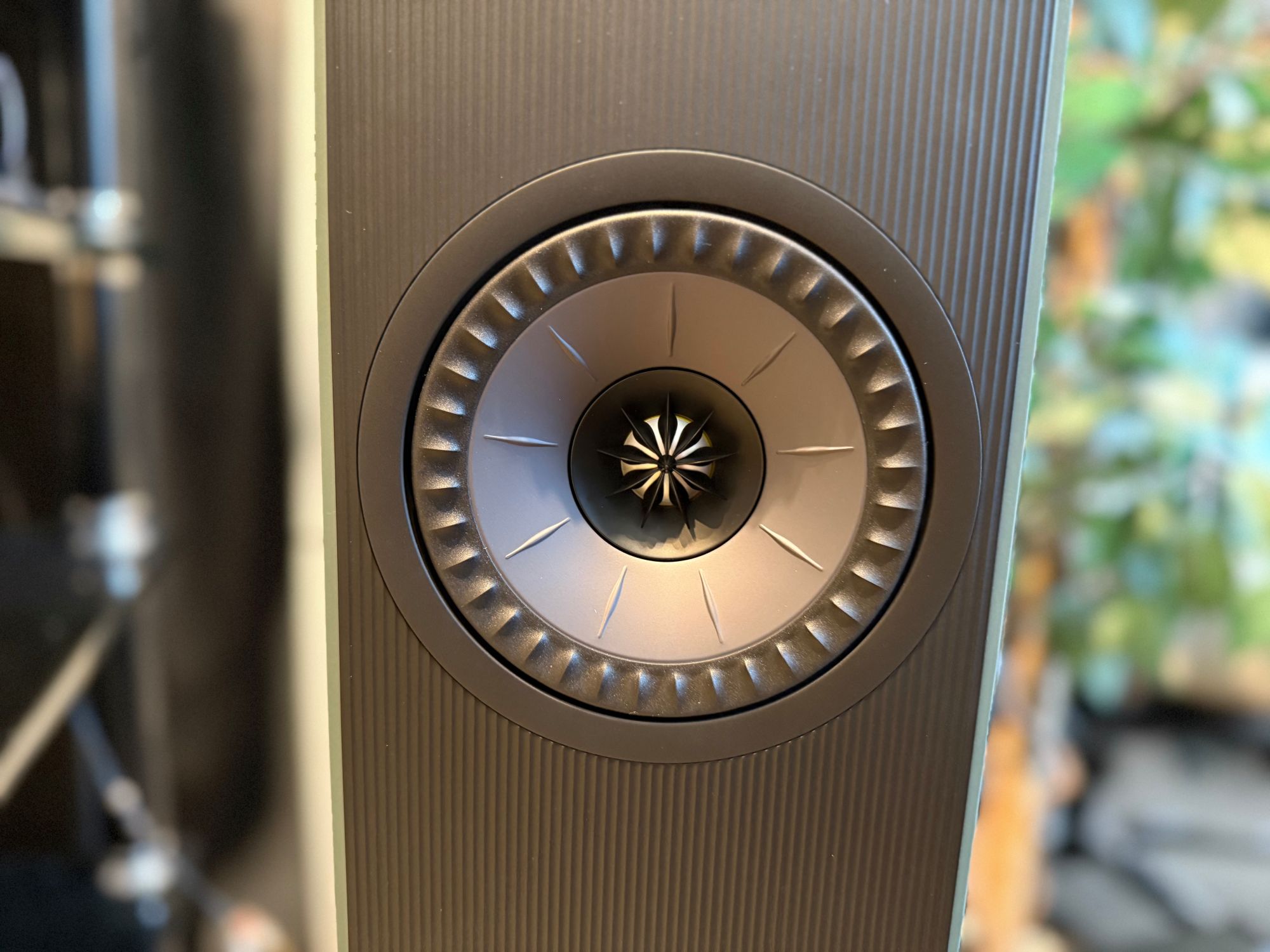 2026 01 31 TST KEF CODA W 6