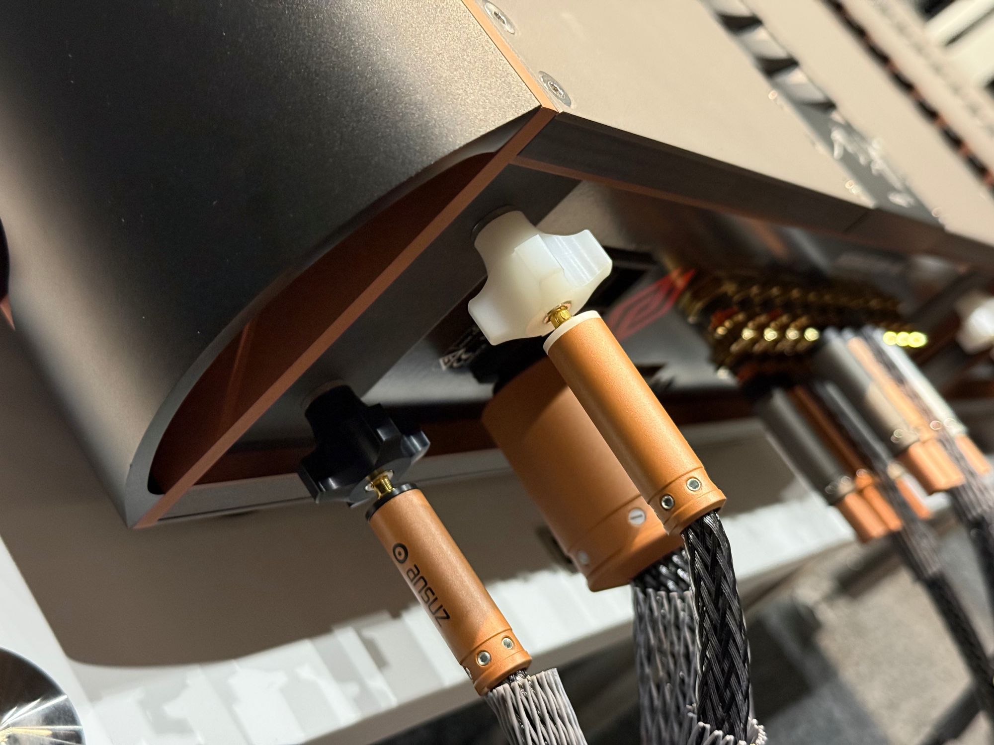 2026 01 31 TST Aavik I 880 11