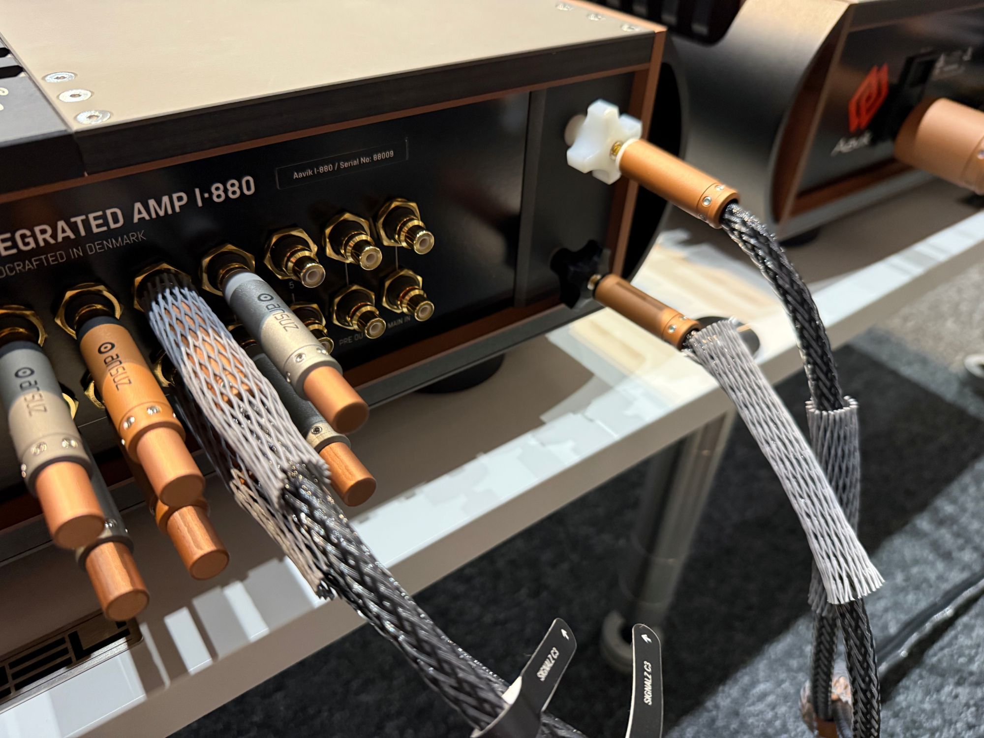 2026 01 31 TST Aavik I 880 13