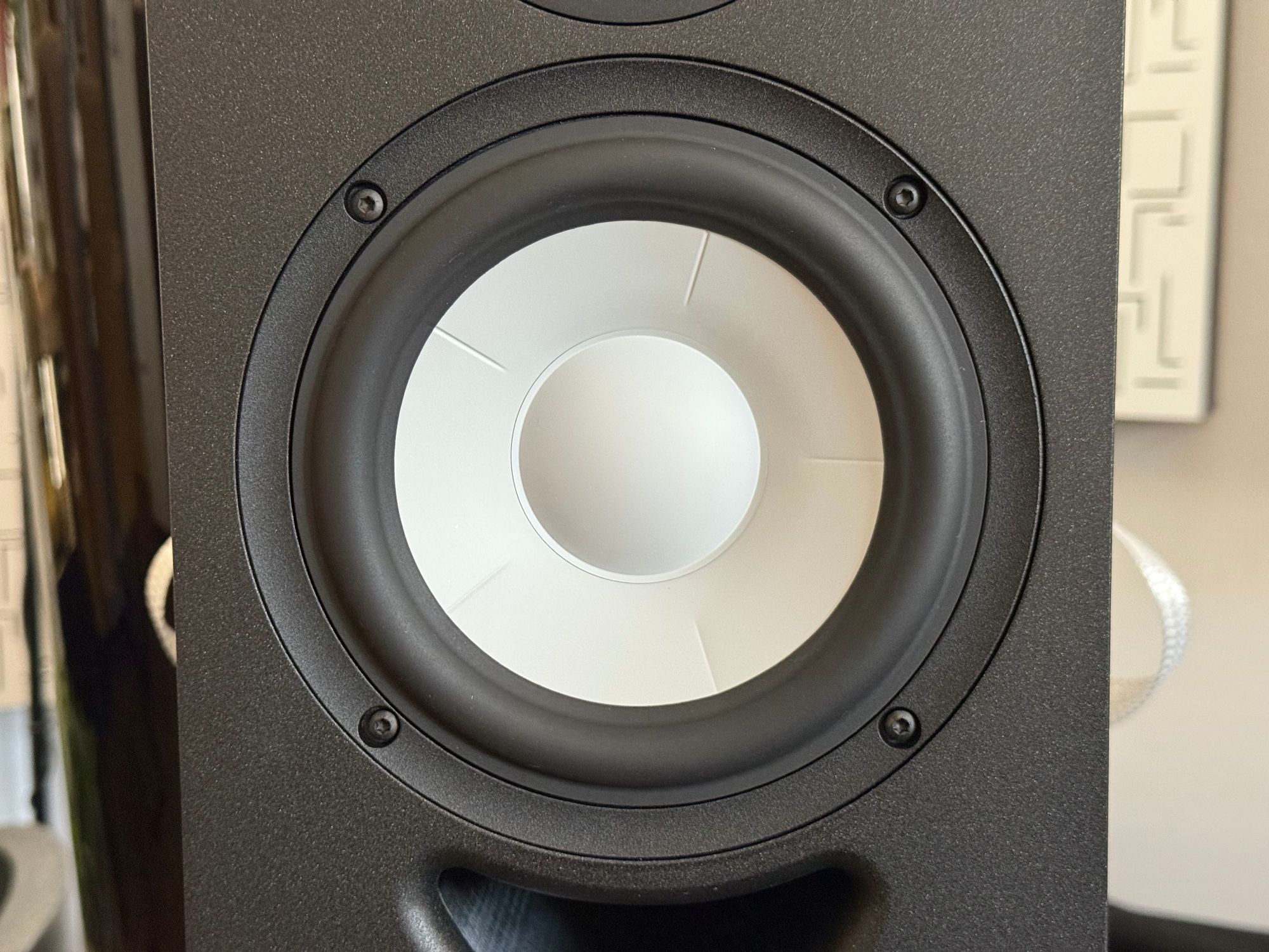 2026 01 31 TST AQ Labrador 30 10