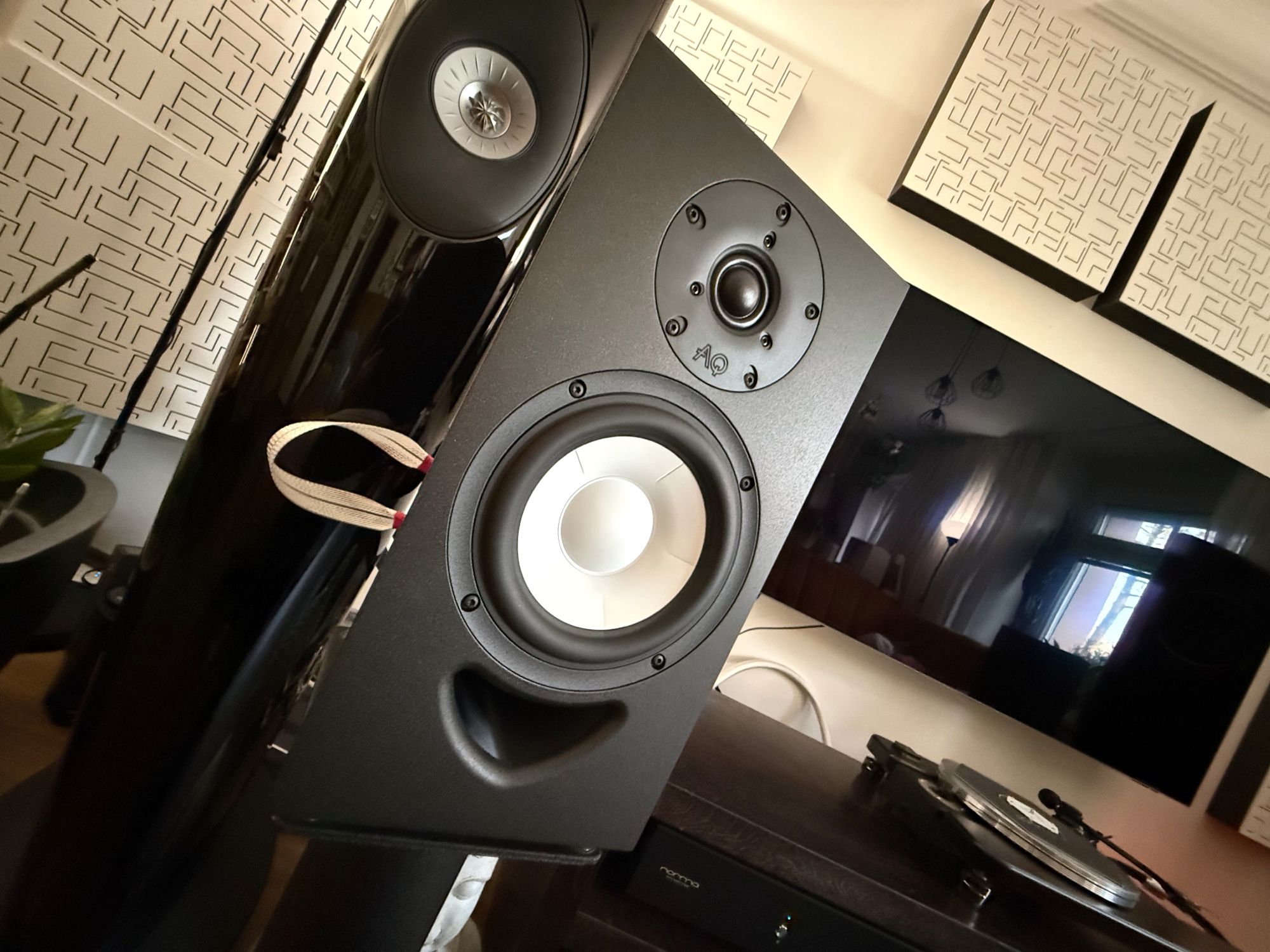 2026 01 31 TST AQ Labrador 30 14