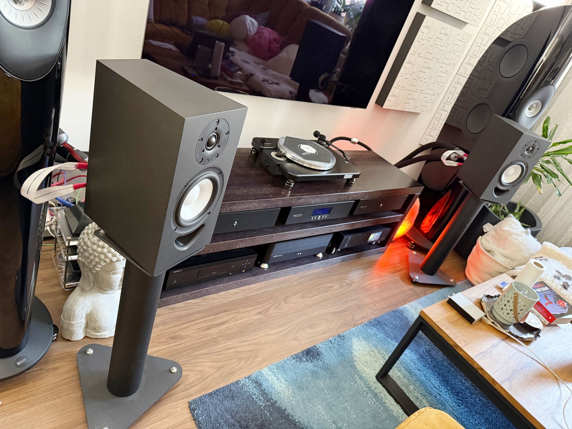 2026 01 31 TST AQ Labrador 30 15