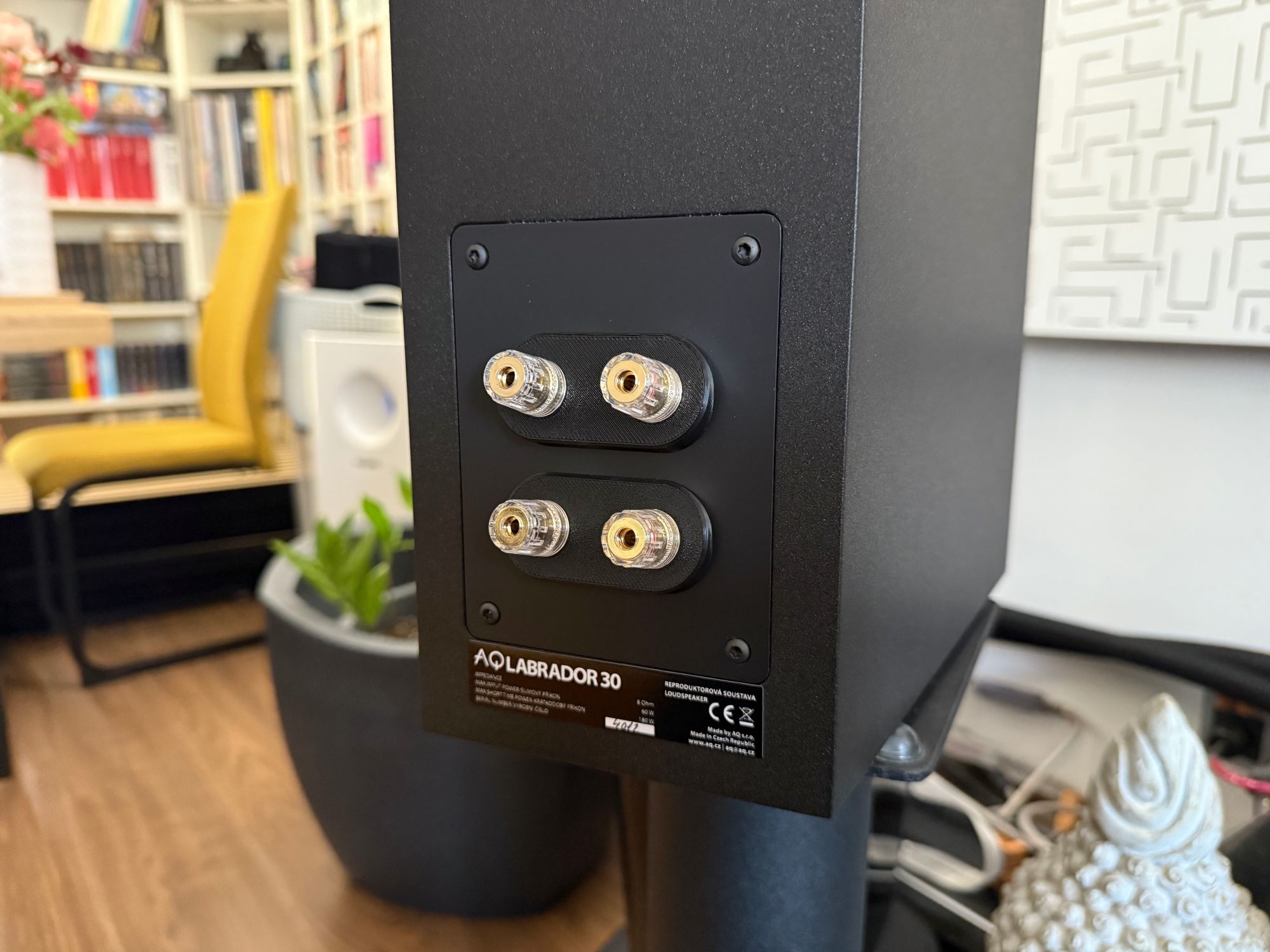 2026 01 31 TST AQ Labrador 30 2