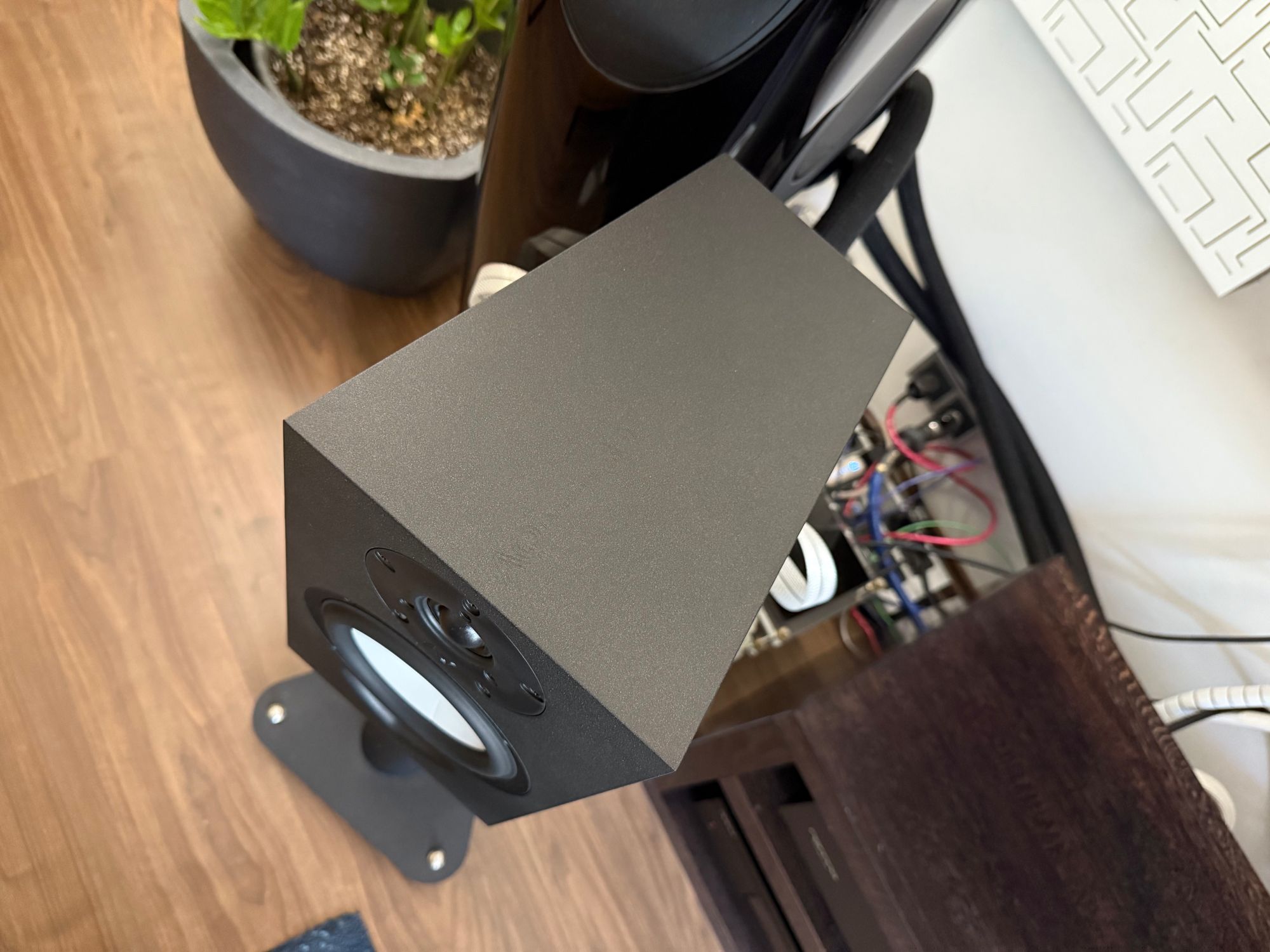 2026 01 31 TST AQ Labrador 30 6