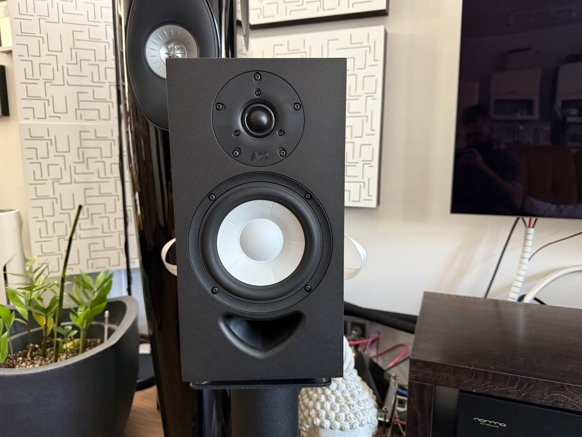 2026 01 31 TST AQ Labrador 30 8