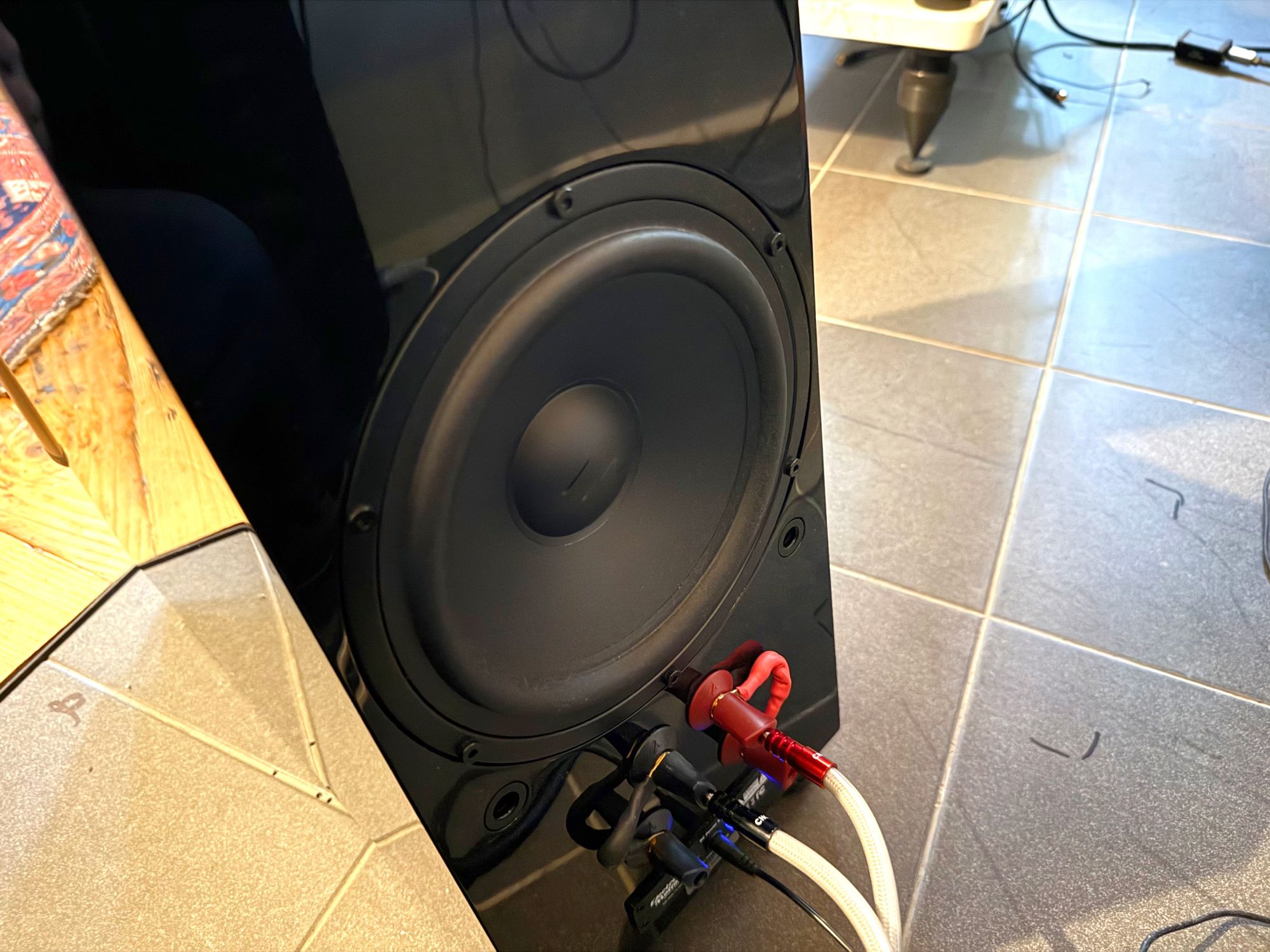 2026 02 28 TST MartinLogan ESL X 9