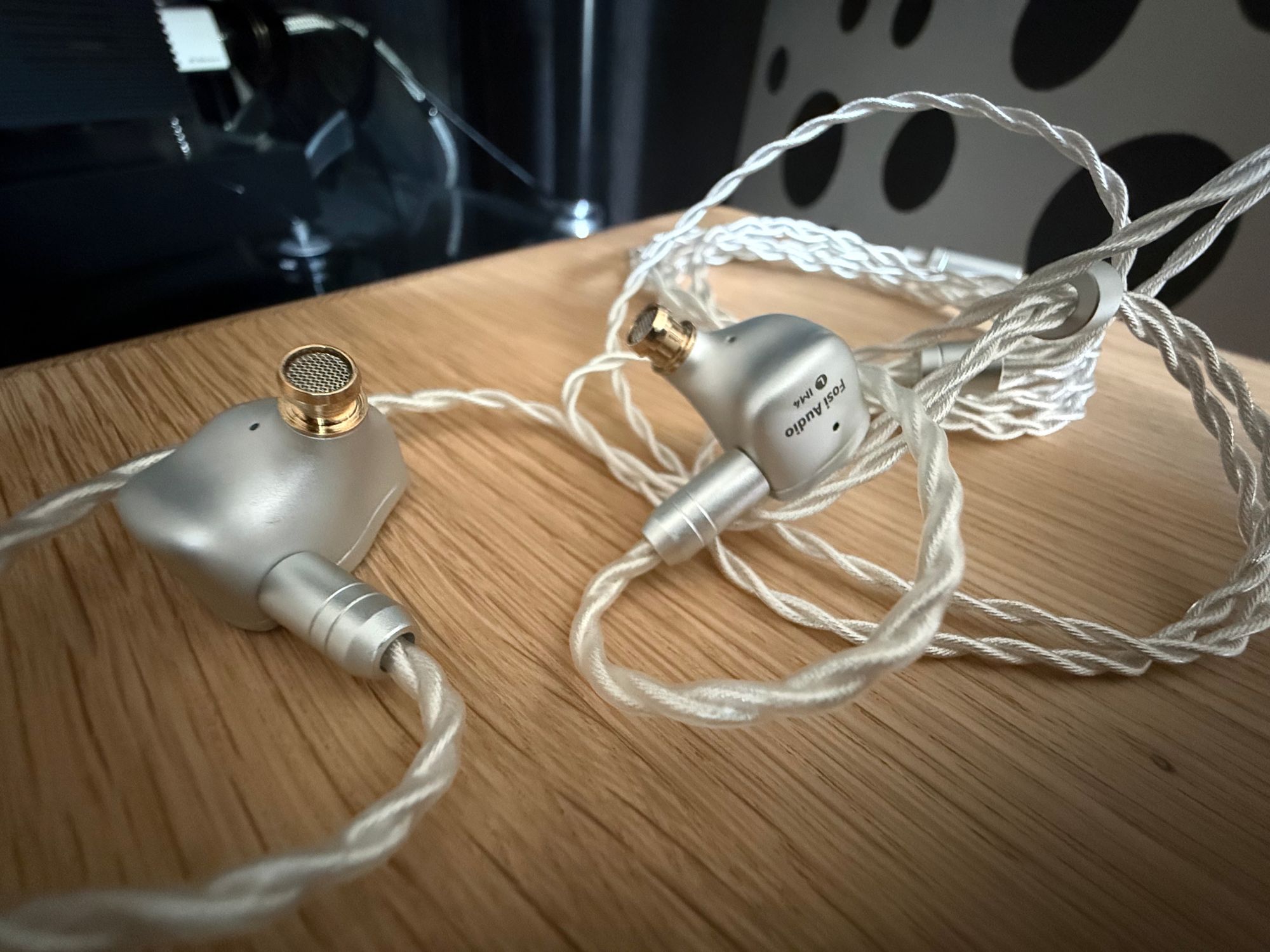 2026 04 30 TST Fosi IM4 6