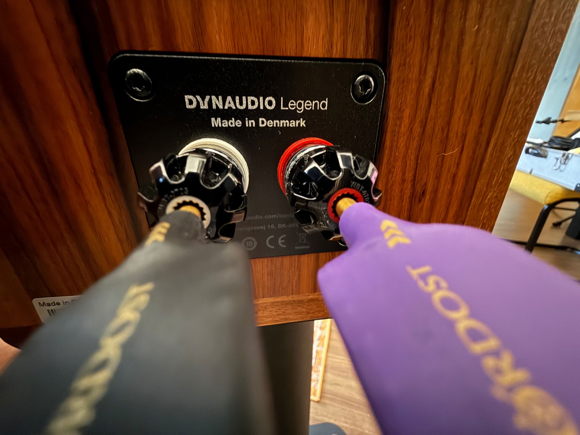 2026 05 31 TST Dynaudio Legend 17