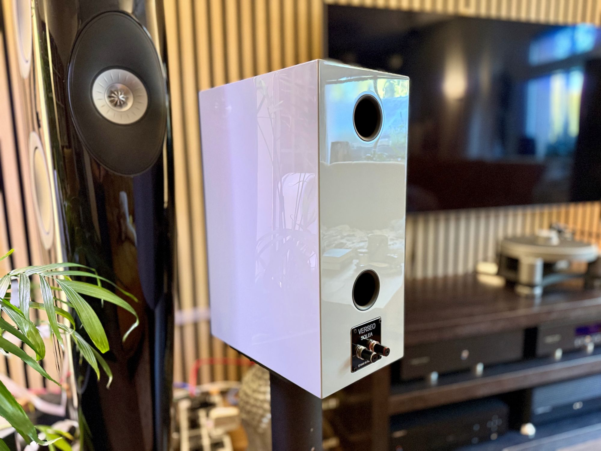 2026 10 31 TST Verseo Audio Solea 20