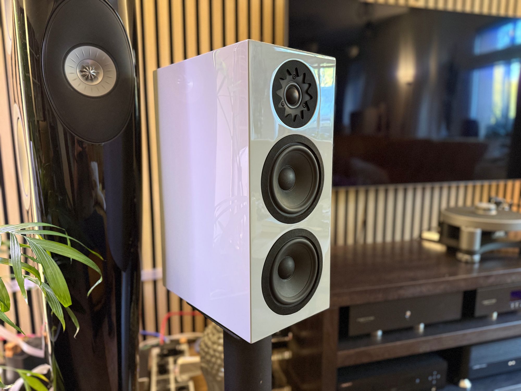 2026 10 31 TST Verseo Audio Solea 23