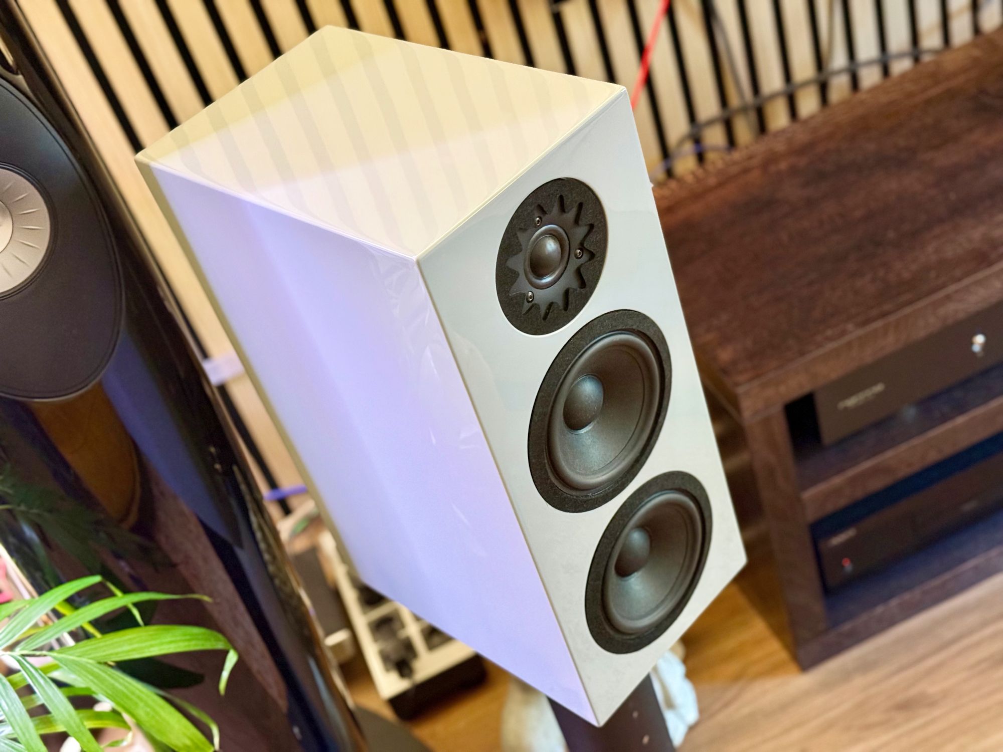 2026 10 31 TST Verseo Audio Solea 27