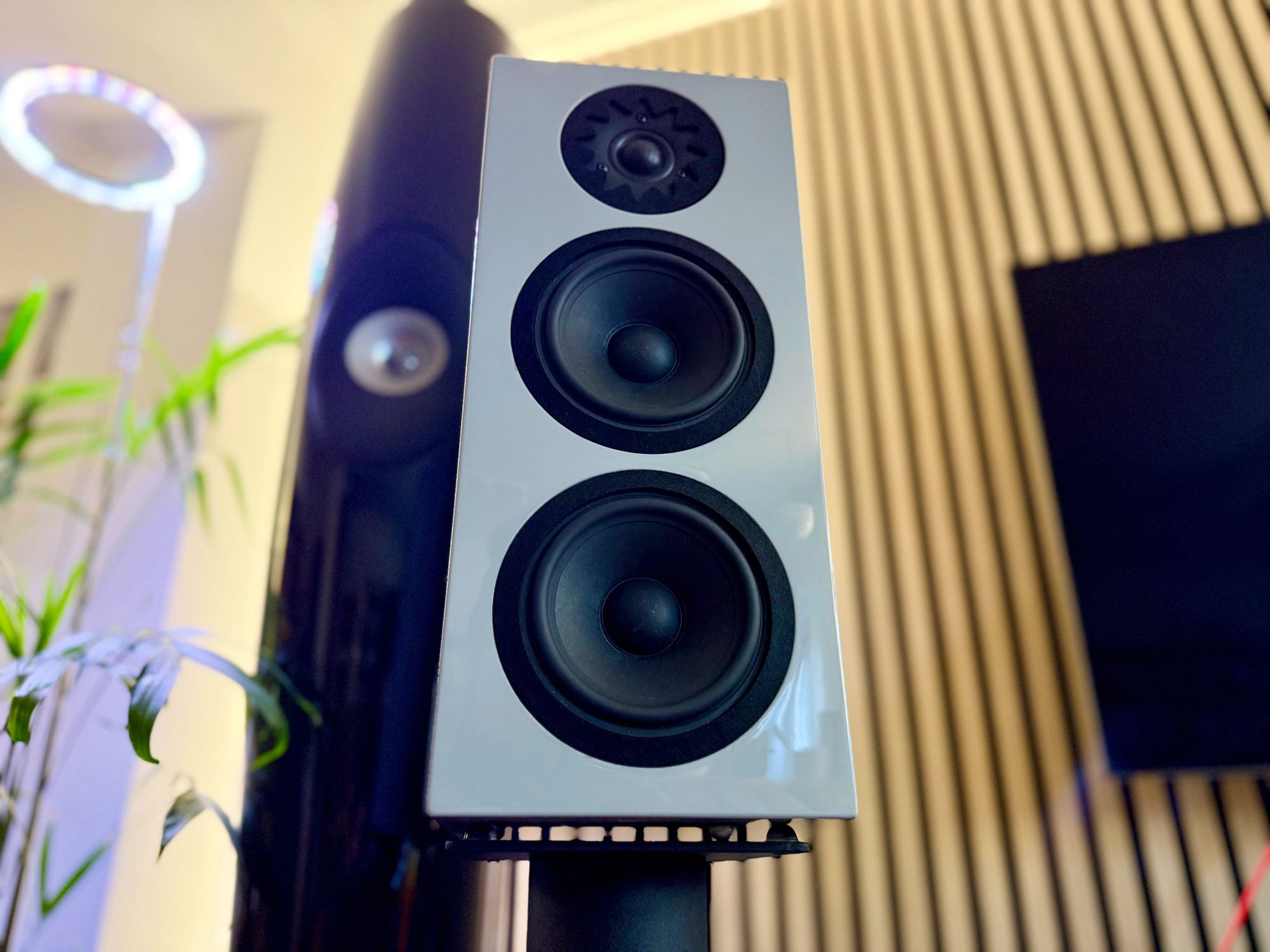 2026 10 31 TST Verseo Audio Solea 28