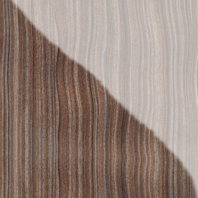 quarta evoluzione silver ebony detail