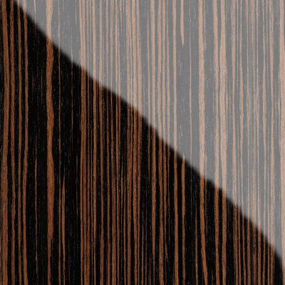 quarta evoluzione zebrano detail